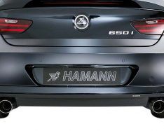 BMW 6 SERIES (F12/F13) "HAM Style" Tailgate cover-0