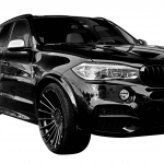 BMW X6 (F16) Performance Style Fender extensions-0
